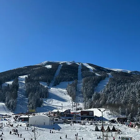 Sunce
